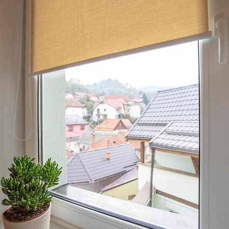 Brasha Residence Брашов Экстерьер фото