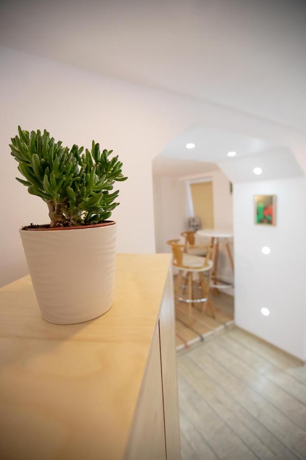 Brasha Residence Брашов Экстерьер фото